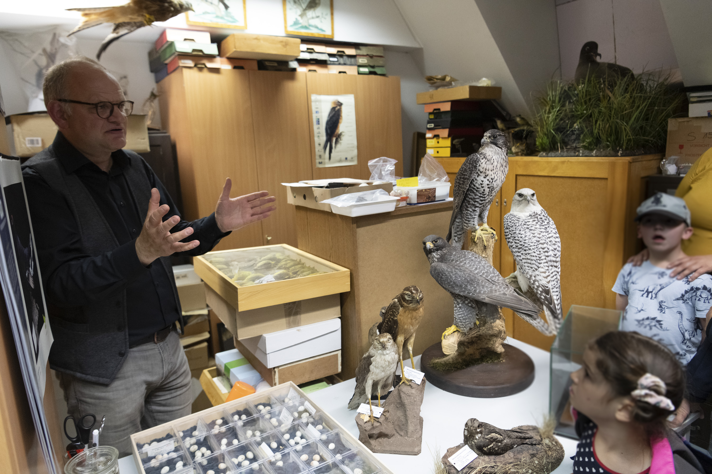 Blick hinter die Kulissen im Naturkundemuseum