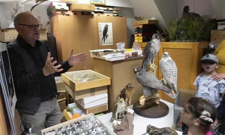 Blick hinter die Kulissen im Naturkundemuseum