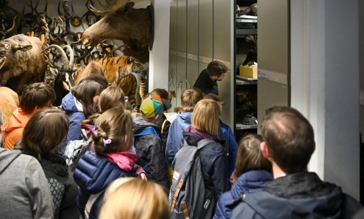 Führung im Naturkundemuseum