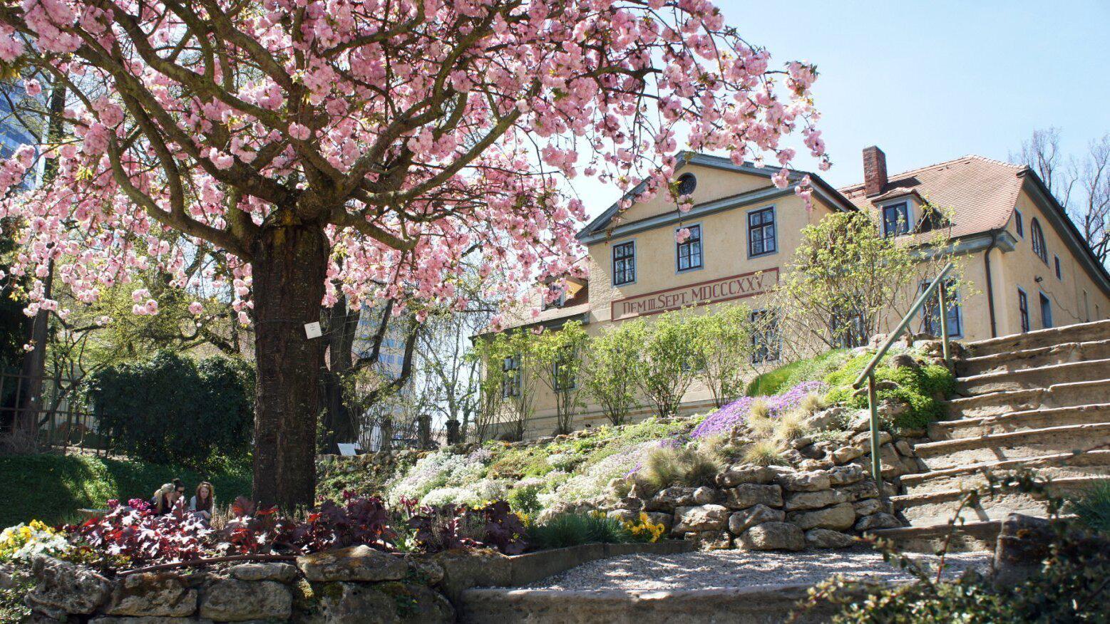 Das Goethe-Laboratorium im Botanischen Garten