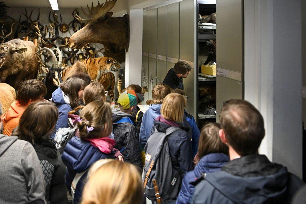 Führung im Naturkundemuseum