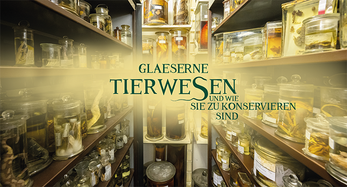 Zoologische Nasssammlung Zoologische Nasssammlung
